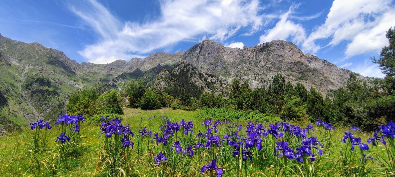 Pleta Del Mon Atico Διαμέρισμα Benasque Εξωτερικό φωτογραφία