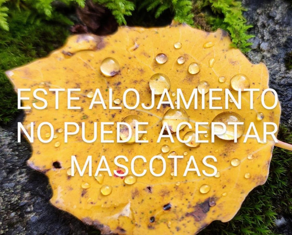 Pleta Del Mon Atico Διαμέρισμα Benasque Εξωτερικό φωτογραφία